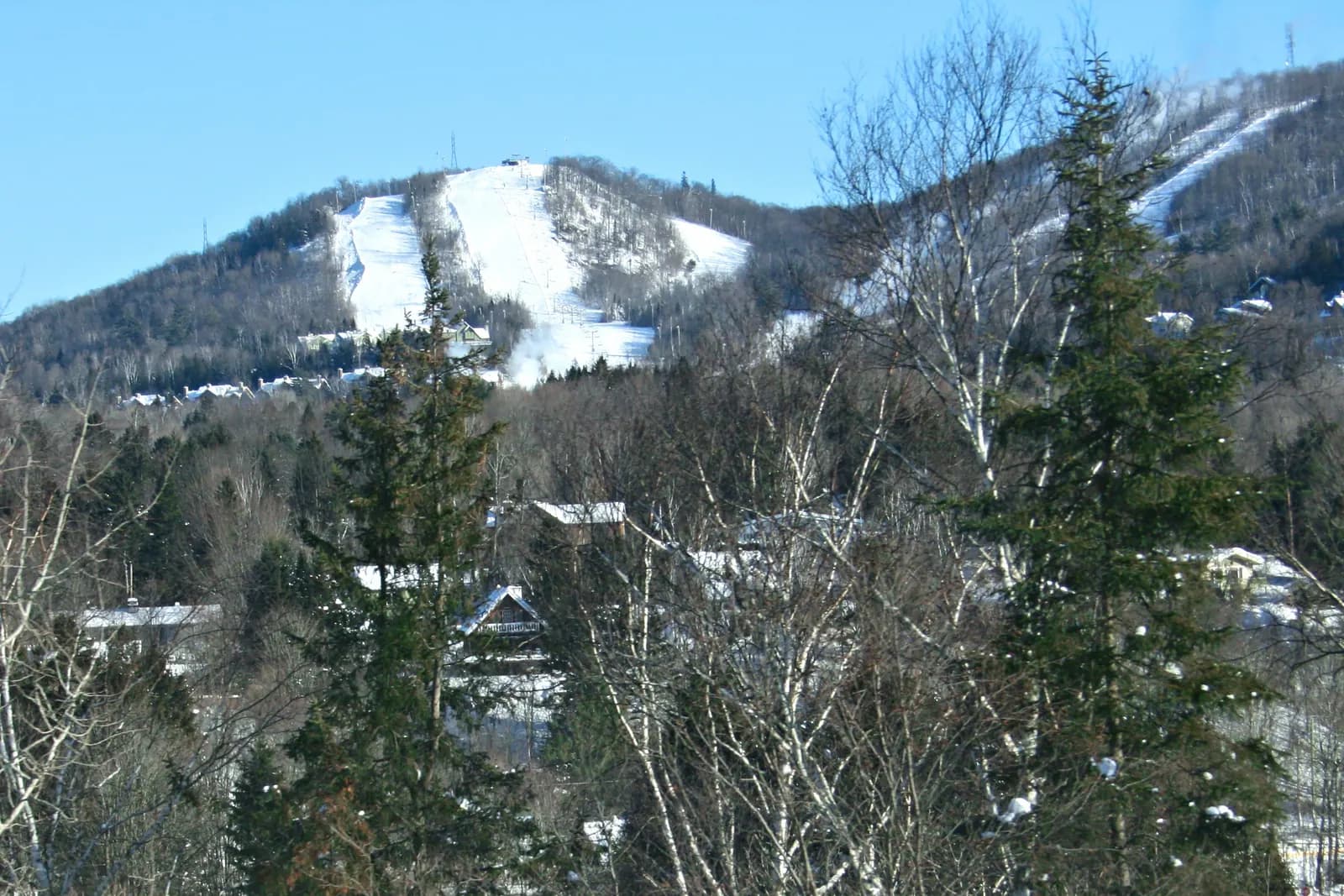 Les pistes enneigées du mont Olympia au-dessus des arbres et des toits de Piedmont.