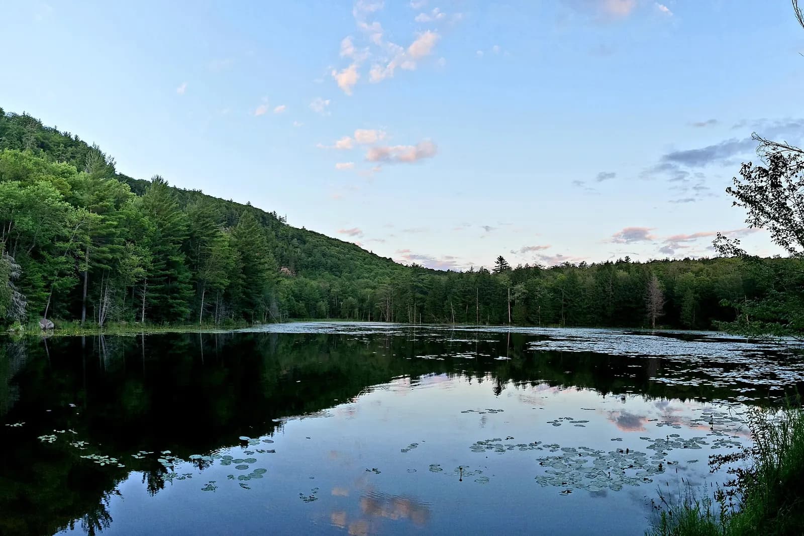 Le lac du Paradis entouré de forêt, ses nénuphars et le ciel du soir reflété dans l’eau.